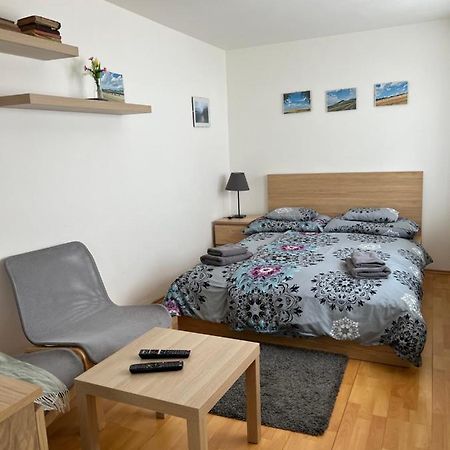 Appartement Celý dům v historickém centru Loun à Louny Extérieur photo